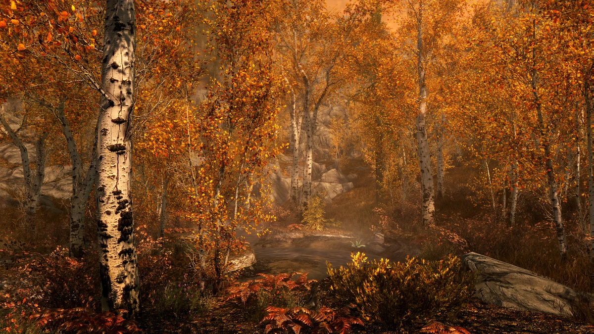 The Elder Scrolls V: Skyrim Special Edition：公式掲載の紹介画像2