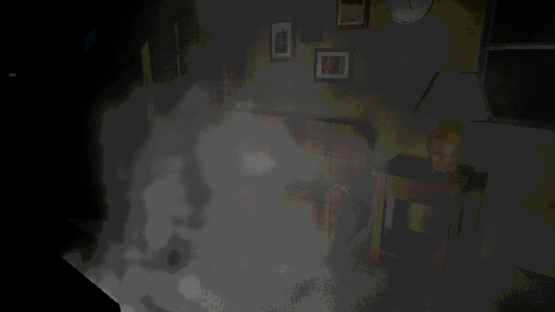 What The Dog Remembers:室内に置かれた物を一人称視点で観察する公式画面